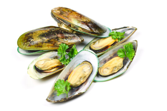 Mussels isolated on white background - Green mussel shell with parsley
