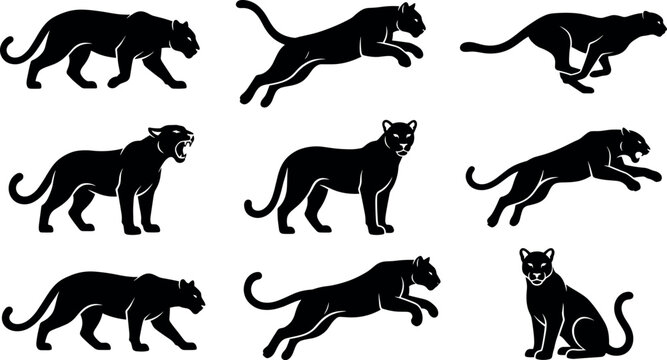 Black panther silhouette icon set with wild big cat walking jumping running and roaring poses vector