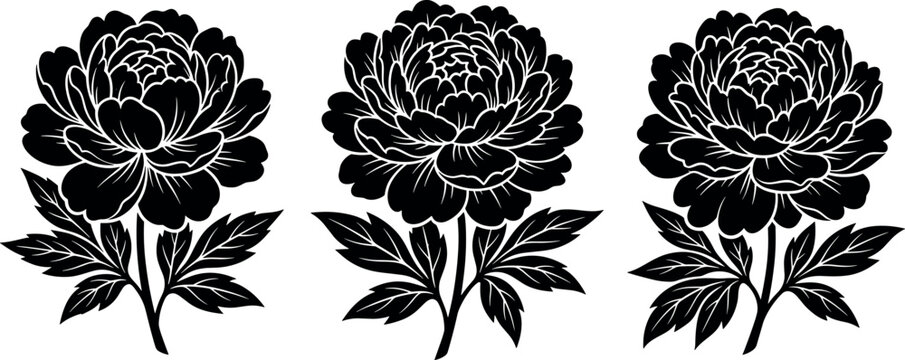 Black peony flower silhouette vector illustration set with traditional elegant stencil style floral branch designs