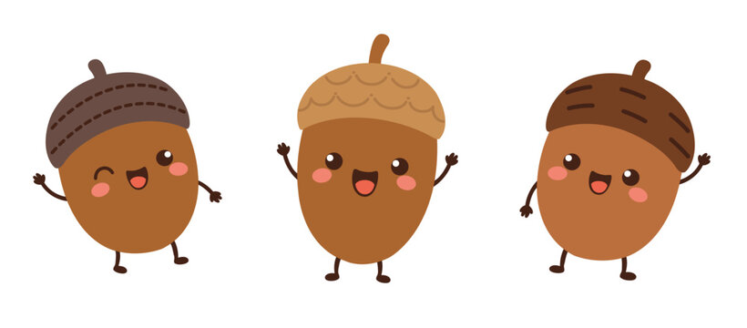 Cute Acorn Character