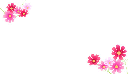 Fototapeta premium ピンク色の秋桜のフレーム素材