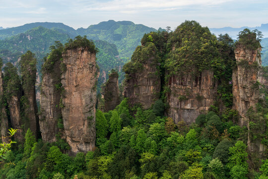 Sandstone pillars at the top of Huangshizhai in Zhangjiajie National Forest Park on a spring day, Wulingyuan District, Zhangjiajie City, Hunan Province, China