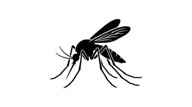 Detailed black silhouette of a mosquito featuring sharp wings and long legs on white background