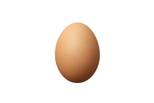Single Brown Chicken Egg