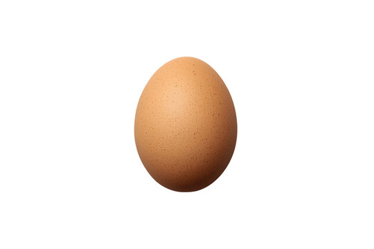 Single Fresh Brown Egg