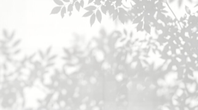 Minimalist leaf shadow overlay on white wall, soft botanical shadows on neutral background, aesthetic tree branch silhouette for product mockup