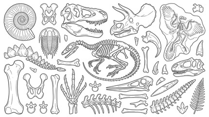 Collection of dinosaur skeletons, fossils, and prehistoric creature bones illustrated in a vintage engraving style. © Nuria