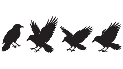 Obraz premium Black Silhouette Crow Icons in Dynamic Flight and Perched Positions - Minimalist Vector Art for Designers and Artists