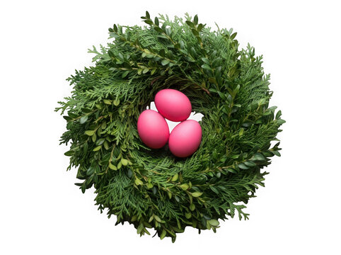 Decorative green wreath with three pink eggs isolated on transparency
