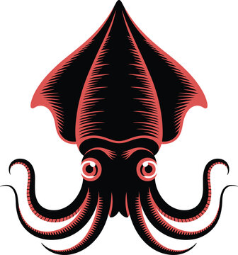 A vampire squid black and red color animal vector on white background.