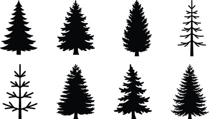 Obraz premium Evergreen Tree Silhouettes Showing Pine and Fir Variations for Forest Illustration, Winter Landscape Design, and Nature Projects