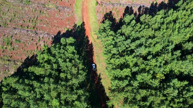 Pickup truck travels along a narrow forest road bordered by dense woodland and cultivated land in Misiones, Argentina, within the Parana Forest region, tracked from above during descent.