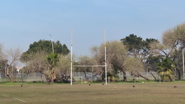 White rugby goal posts standing on a large outdoor grass sports field under a clear blue sky. Trees, floodlights and sports facilities.