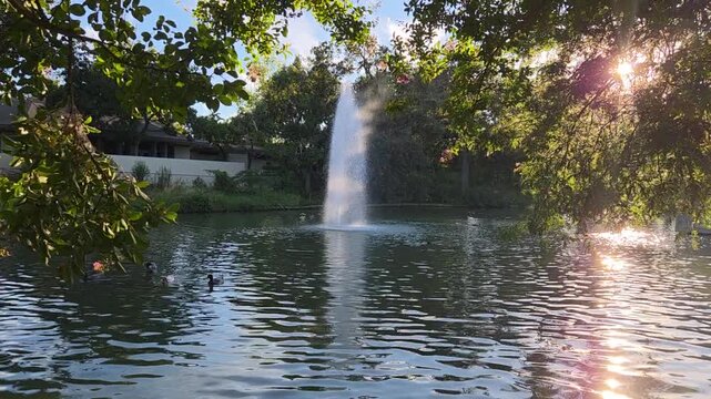 fountain in the park