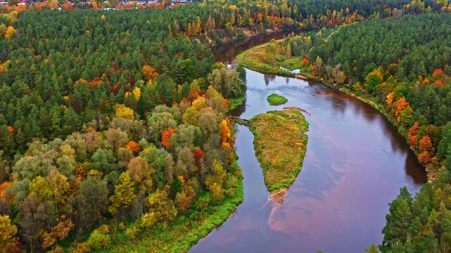 Drone footage capturing a sinuous river flowing through a dense, multicolored autumn forest
