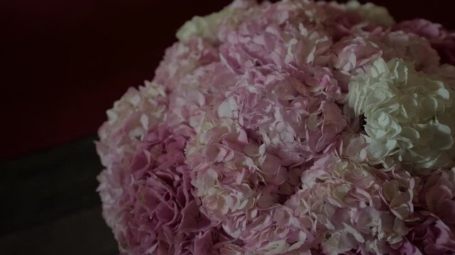 Lush pink and white hydrangea flower bouquet in close up against dark background