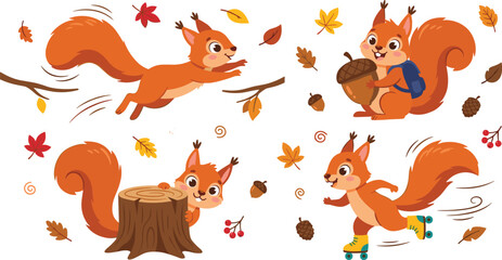 Cute Squirrel Character Vector Set with Autumn Leaves Acorns Tree Stump and Roller Skates for Seasonal Fall Graphic Patterns and Nursery Illustration © Mst