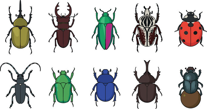 Detailed Insect Collection Vector Set Featuring Stag Beetle, Ladybug, Goliath Beetle, Dung Beetle, and Scarab Varieties for Nature Designs