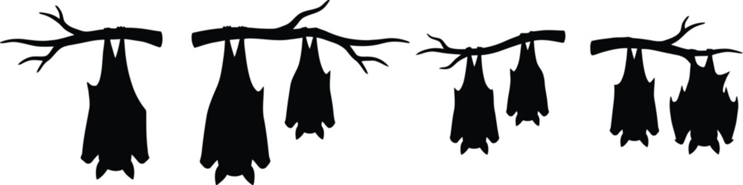 Spooky Halloween bat silhouettes hanging on branches, black vampire bat vector set