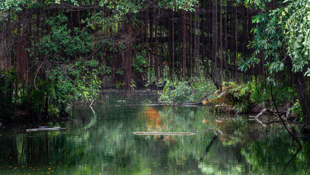 City jungle - Gro&szlig;stadt Jungle