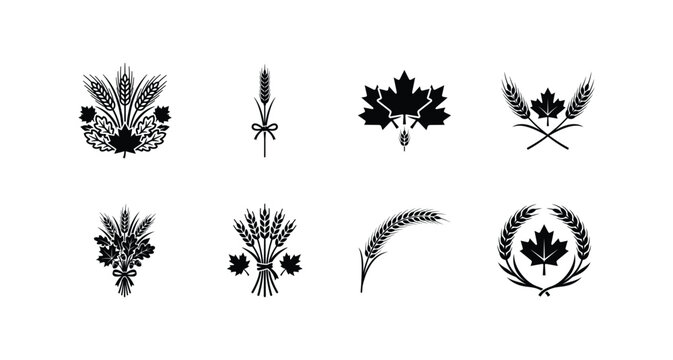 Autumn Wheat Ear and Maple Leaf Icon Set, Thanksgiving Harvest Sheaf Vector Illustration, Fall Season Grain Floral Black Silhouette Glyph Elements for Logo and Craft Design