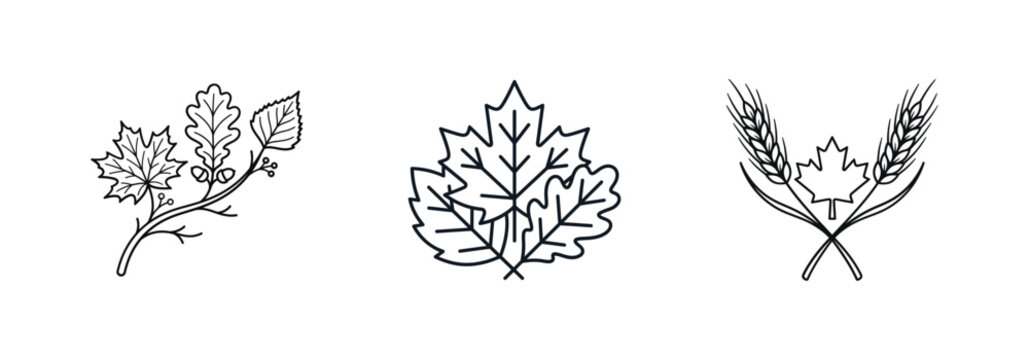 Autumn Leaves and Wheat Ear Line Art Icon Set, Maple Oak Leaf Branch Vector Illustration, Fall Season Harvest Botanical Outline Symbols for Craft and Logo Design