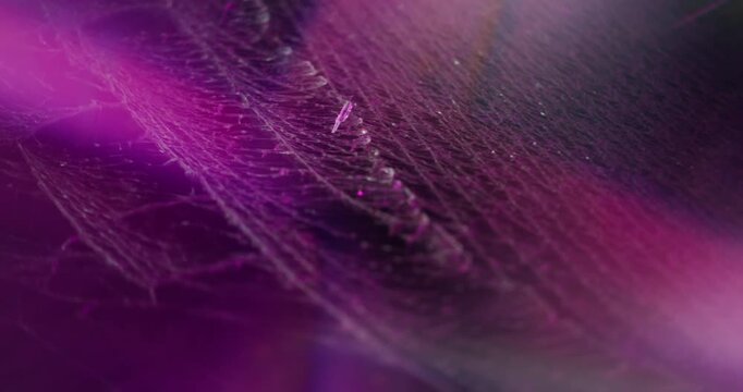 Neon film. Purple light. Defocused pink blue orange colorful uneven texture glisten gleam on abstract bright dazzle art background.