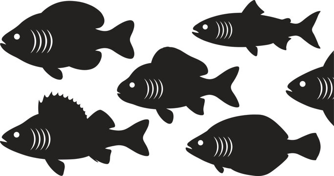 Freshwater and marine fish black silhouette vector bundle featuring bass perch carp and flounder species for seafood market logo design