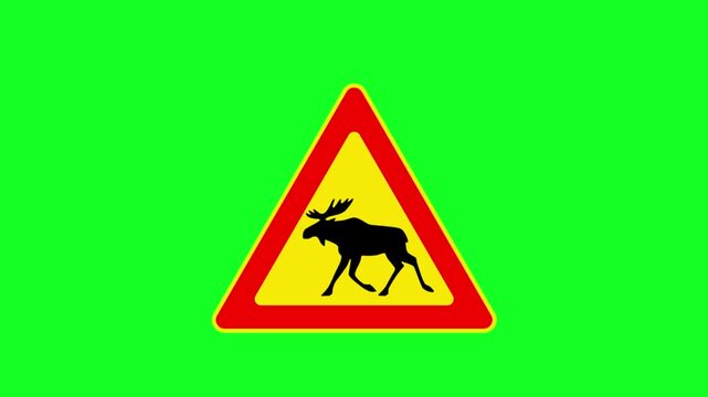 Animated Moose Crossing Warning Sign On Green Screen For Road Safety Alert