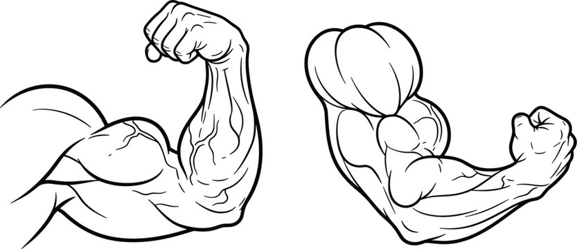 Strong muscular bicep arm flexing vector line art illustration set featuring powerful bodybuilder muscles isolated on a white background for fitness gym branding