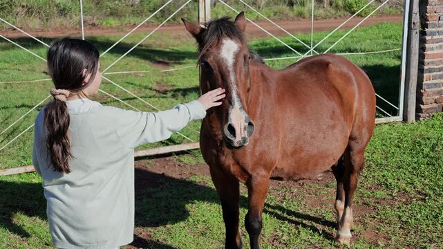 Young girl affectionately strokes the face of a calm brown horse during a quiet bonding moment in the countryside.