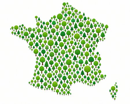 Map of France made with many green trees
