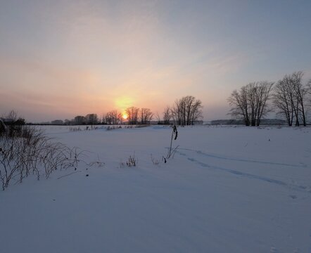 Winter Sunset Over Snowy Field With Bare Trees
