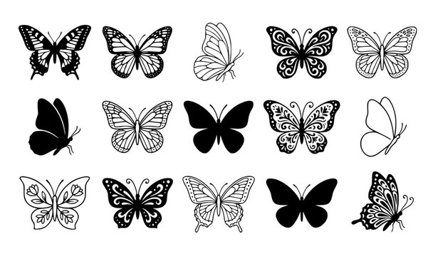 Set of various butterfly silhouettes and line art illustrations for creative design projects and decorative patterns