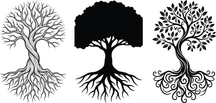 Stylized black tree vector illustrations with twisted roots, dense canopy, and decorative swirling branches for nature artwork design