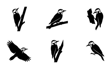 Fototapeta premium Woodpecker Vector Icons Set, Bird Silhouettes Collection, Nature Wildlife Graphics, Forest Fauna Illustrations