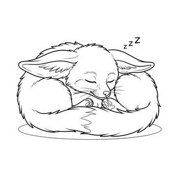 Cute fennec fox sleeping in a curled position, hand drawn line art illustration.