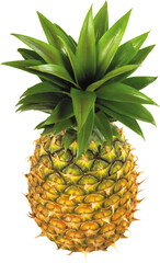 Fototapeta premium Whole pineapple with green leaves and yellow fruit, tropical fruit