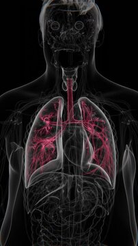 Cystic fibrosis is a genetic disorder affecting the lungs and digestive system, characterized by the production of thick, sticky mucus that can impair breathing and organ function in Vertical format