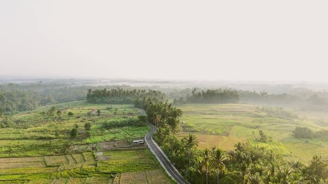 Aerial drone video of a winding road cutting through vast green rice fields in Tabanan Bali Indonesia. Shows farmland patterns, coconut trees, and morning mist in the countryside