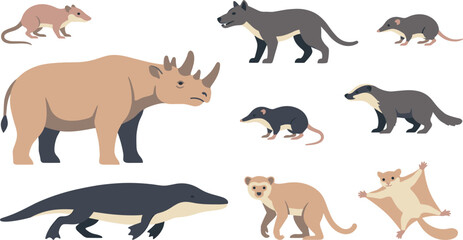 Fototapeta premium Animal prehistoric mammal extinct wildlife creature nature vector collection featuring ancient rhino, primitive rodent, marsupial, sugar glider, and thylacine illustrations