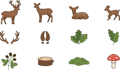Obraz premium Cute Woodland Deer Vector Illustration Set with Antlers Footprint Mushroom Oak Leaves and Tree Stump Graphics Isolated on White Background for Kids Designs