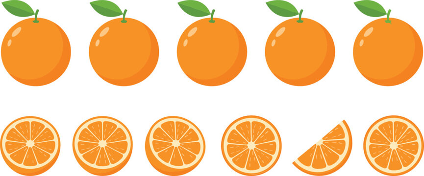 Set of fresh orange fruit vectors including whole oranges with leaves half cuts and a single juicy slice