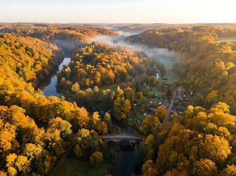 Aerial view of a river winding through a dense forest with colorful autumn trees under a bright sky