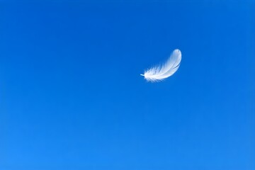 Fototapeta premium 青空に舞い落ちる一枚の白い羽根 White Feather Falling in Clear Blue Sky