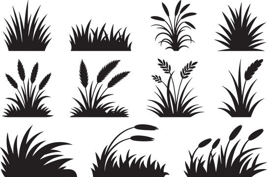 Natural grass and cattail silhouettes set for landscape scenery and marshland outdoor environment art.