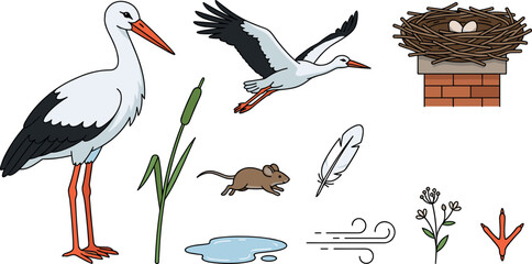 Naklejka premium White Stork Bird Vector Illustration Set with Flying Stork Nest Eggs Reed Pond Mouse and Footprint Elements Isolated on White Background for Wildlife Designs