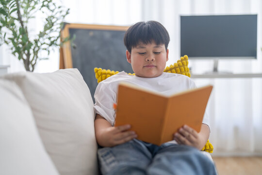 Asian boy lying on sofa reading blank book learning at home, Home education, homeschool, childhood development, self study, elementary student knowledge, smart kid, literature and academic growth