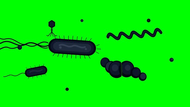 Diverse Bacteria Microscopic Organisms Illustration on Green Screen Background.