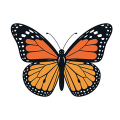 Fototapeta premium Monarch Butterfly Vector Illustration, Orange and Black Insect with Detailed Wing Patterns, Nature and Transformation